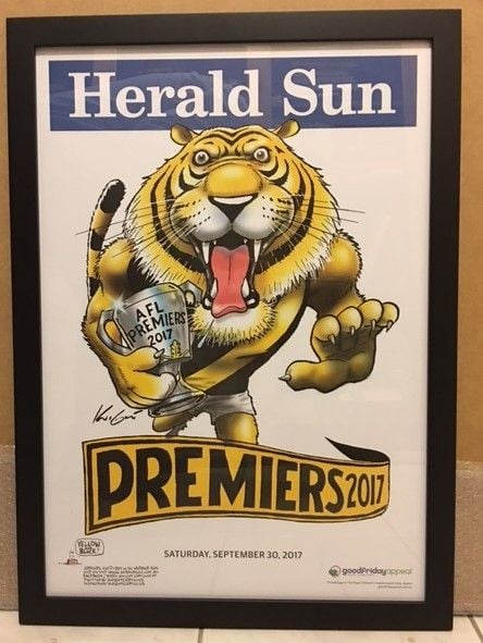 Tigers 2017 Framed