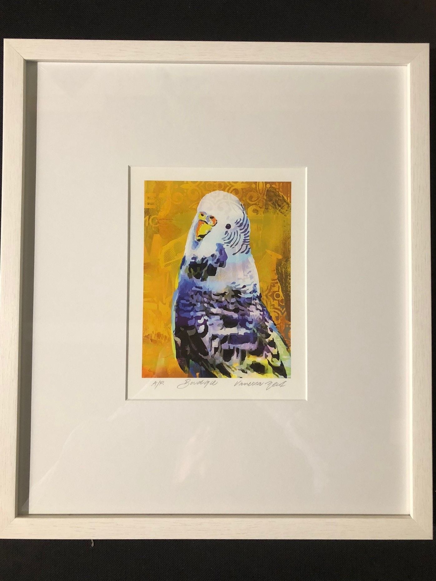 The Budgerigar