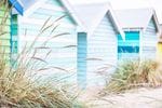 Brighton Bathing Boxes - Liza Clements