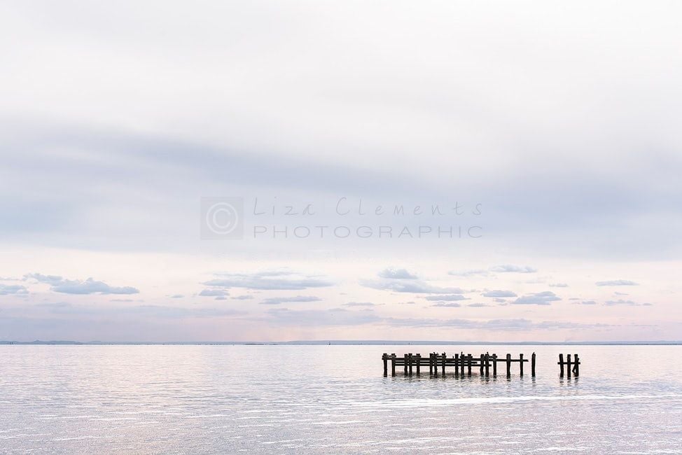 The Way I See It - Liza Clements