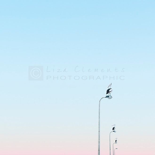 First Light - Liza Clements