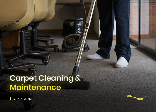 Carpet Cleaning &  Maintenance