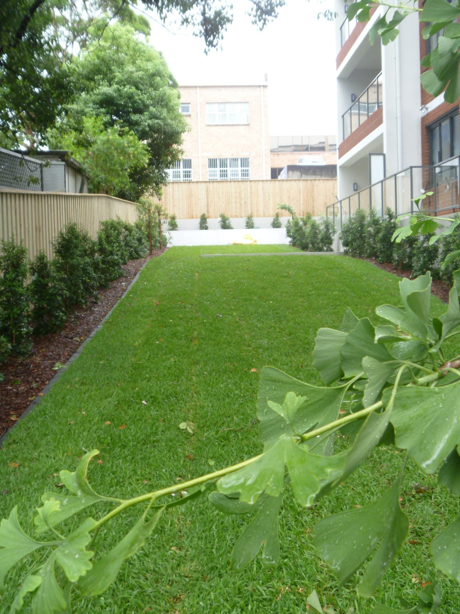 carlingford gardens