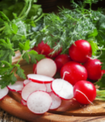Brilliant red radishes stay crisp over a long period