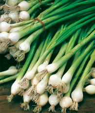 Spring onions are a quick and easy way to add onion flavour to salads and cooked dishes.