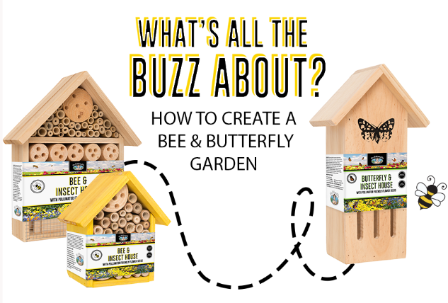 Save our Bees