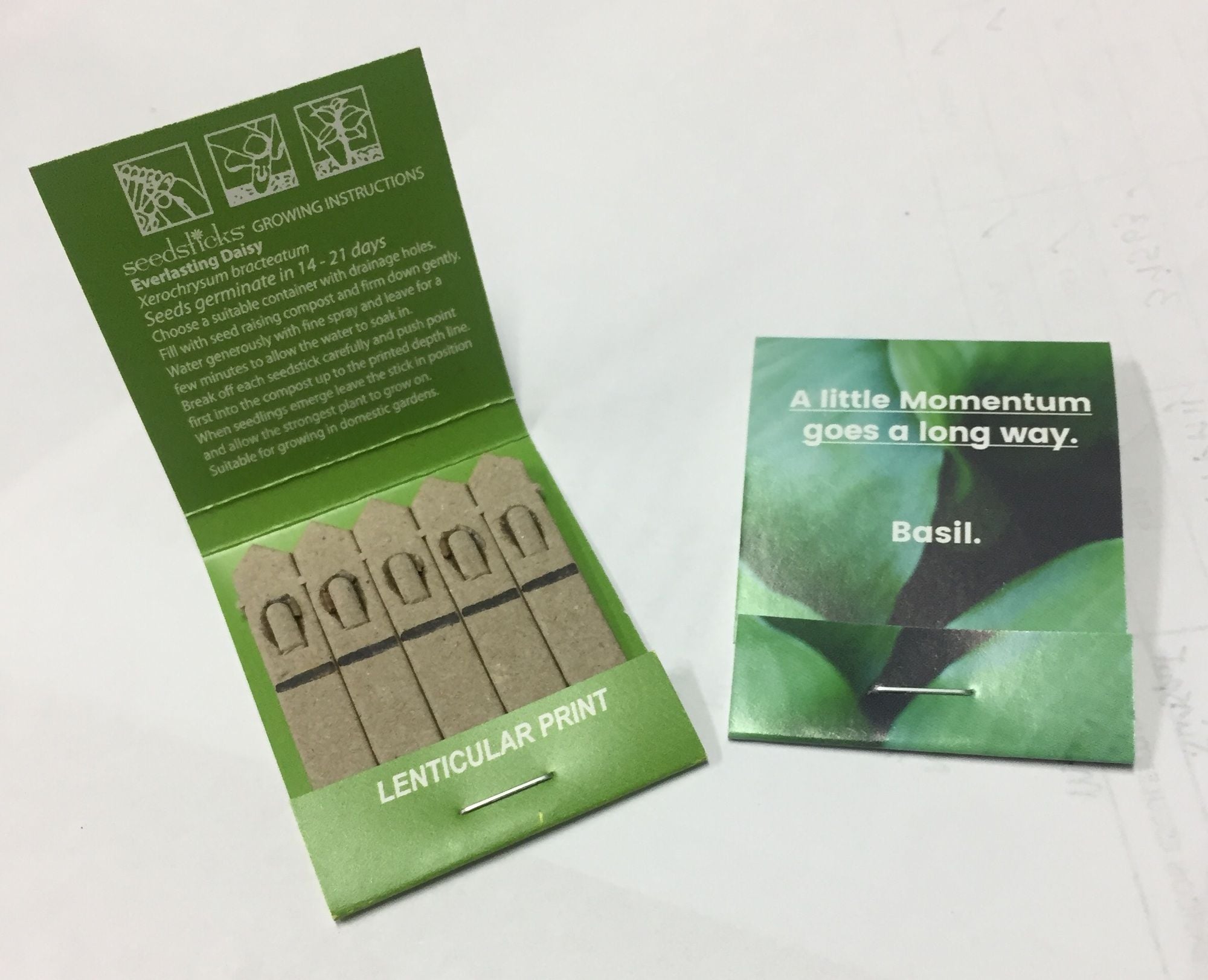 Seeds on Sticks - 5 pack