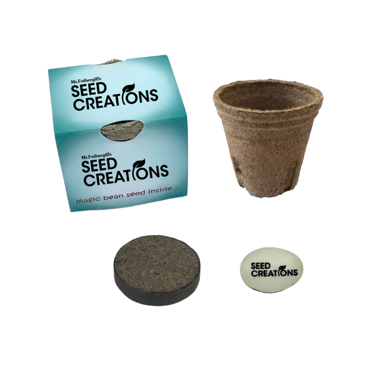 Eco Grow Kit - Magic Bean