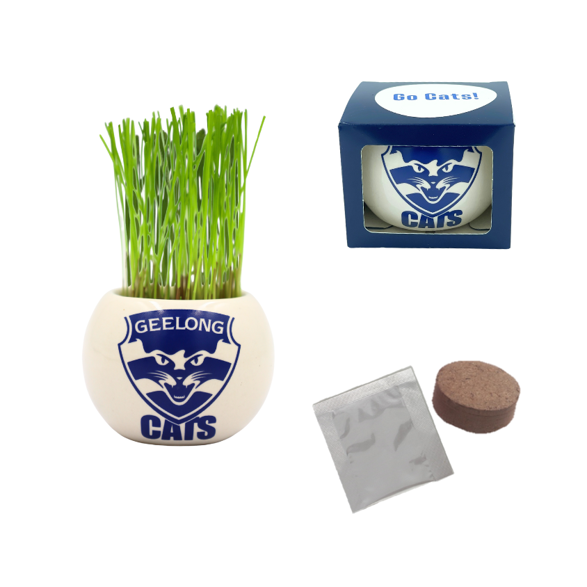 Grow Kit - Grass Hair Kit