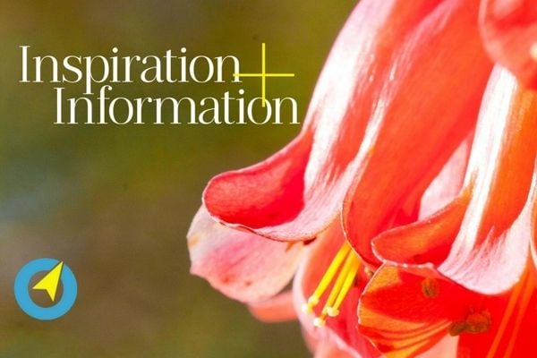 6 Ideas to Inspire You This Weekend 6 Ideas to Inspire You This Weekend