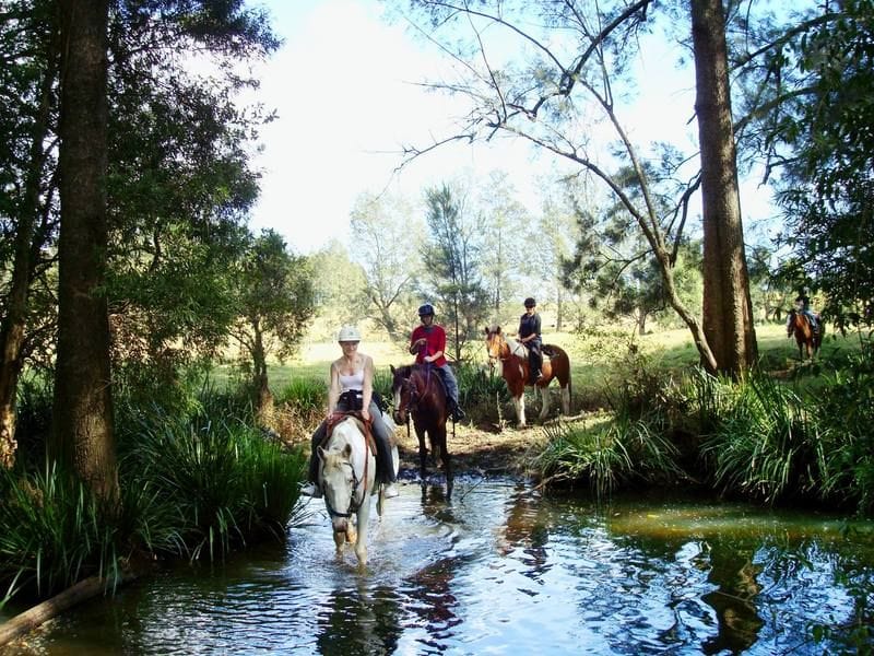 Giddy Up with Bellrowan Valley Horseriding