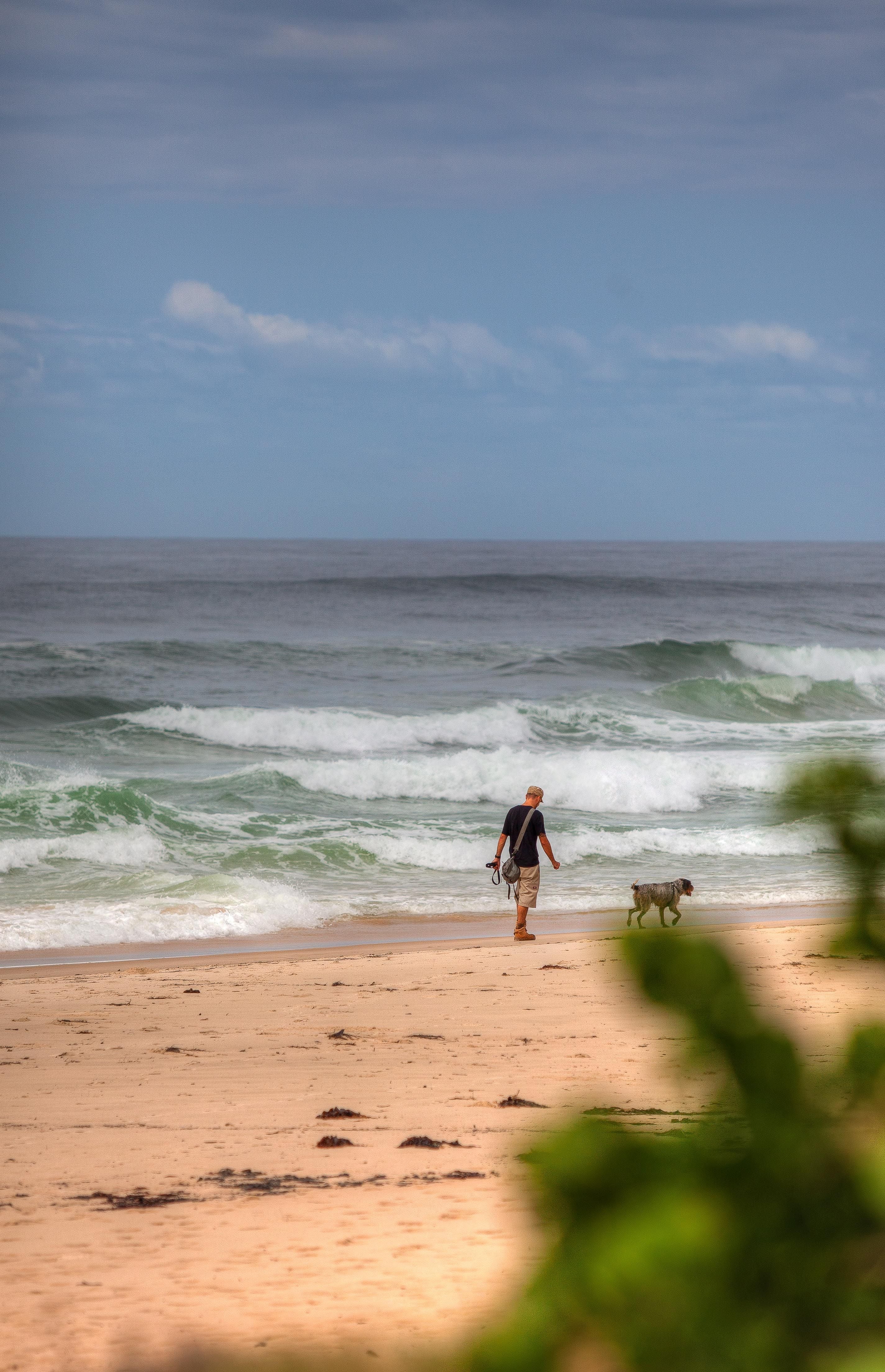 Port Macquarie - Photos of the region Image -596c3f9a1a138