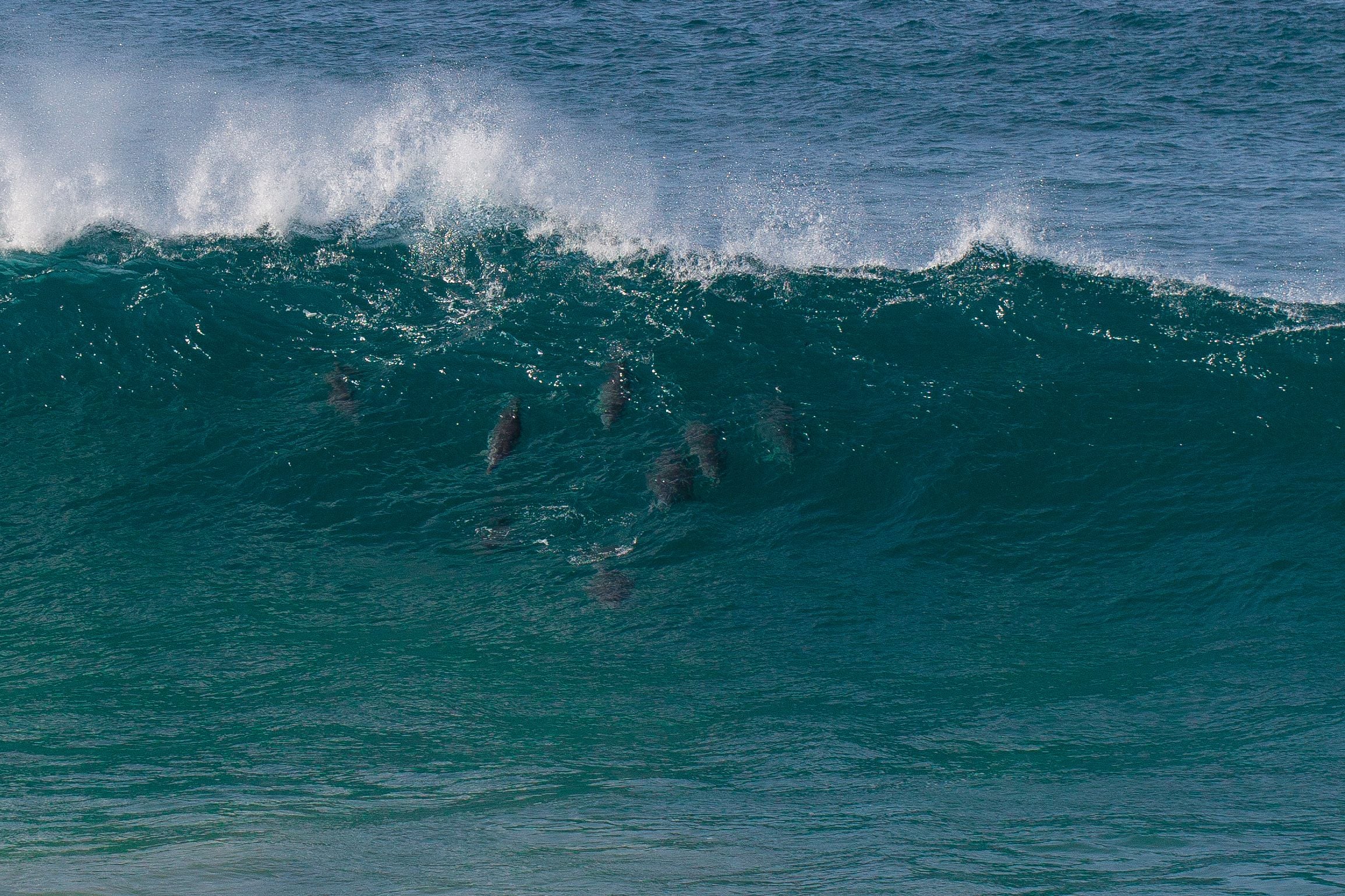 Port Macquarie - Photos of the region Image -596c6e835c581