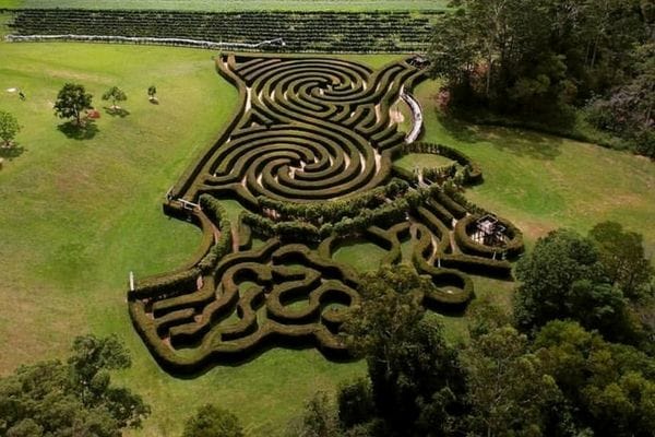 Bago-Maze