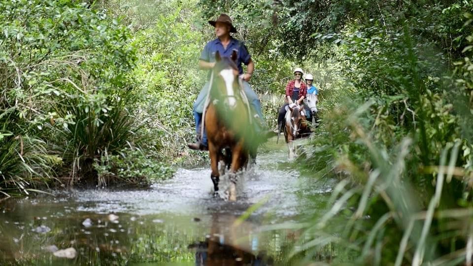 Bellrowan Valley Horseriding