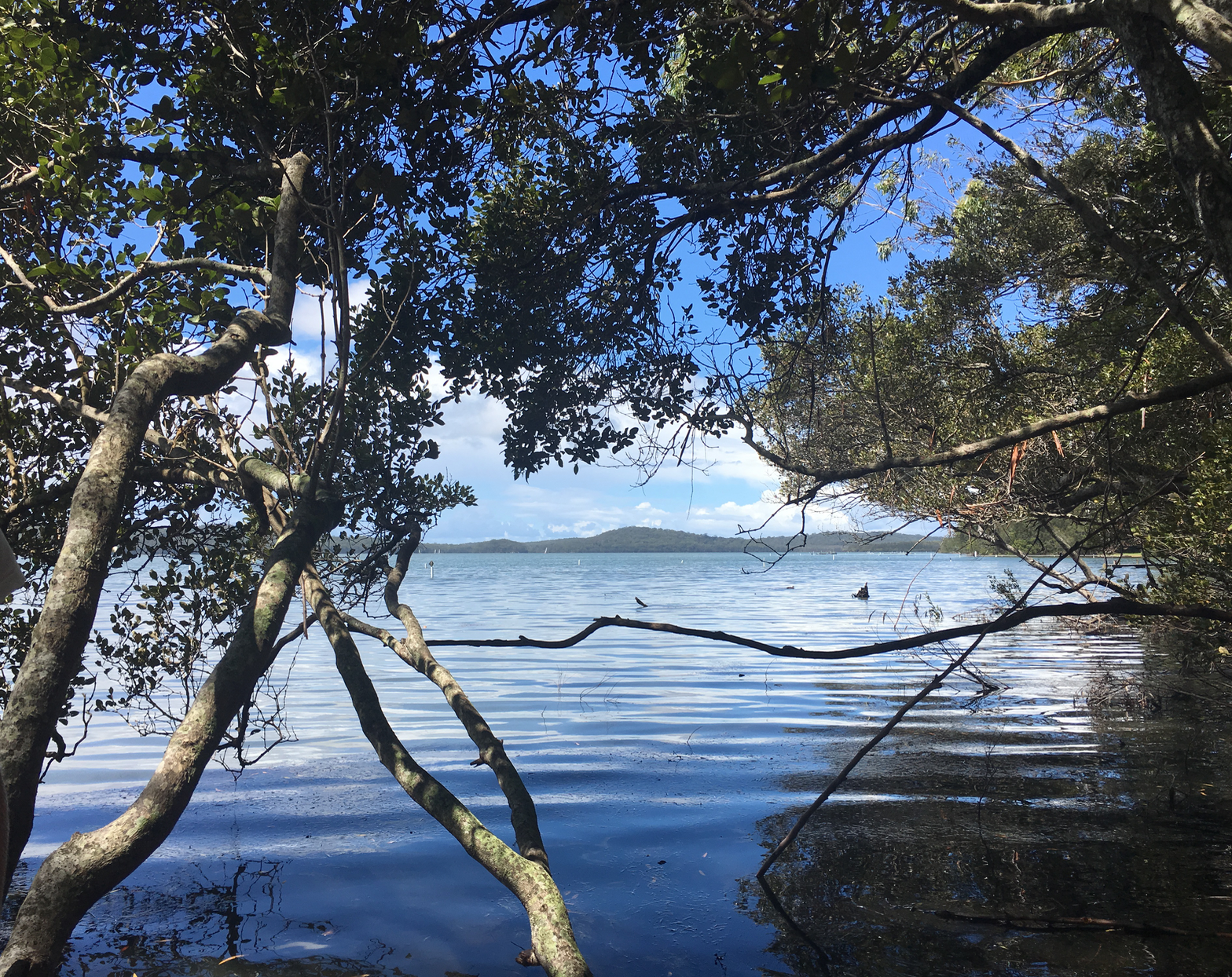 Queens Lake