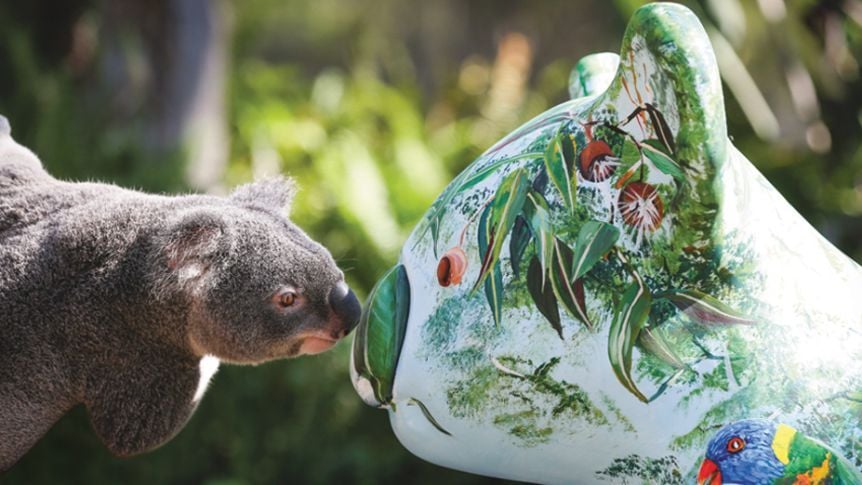 Hello Koalas