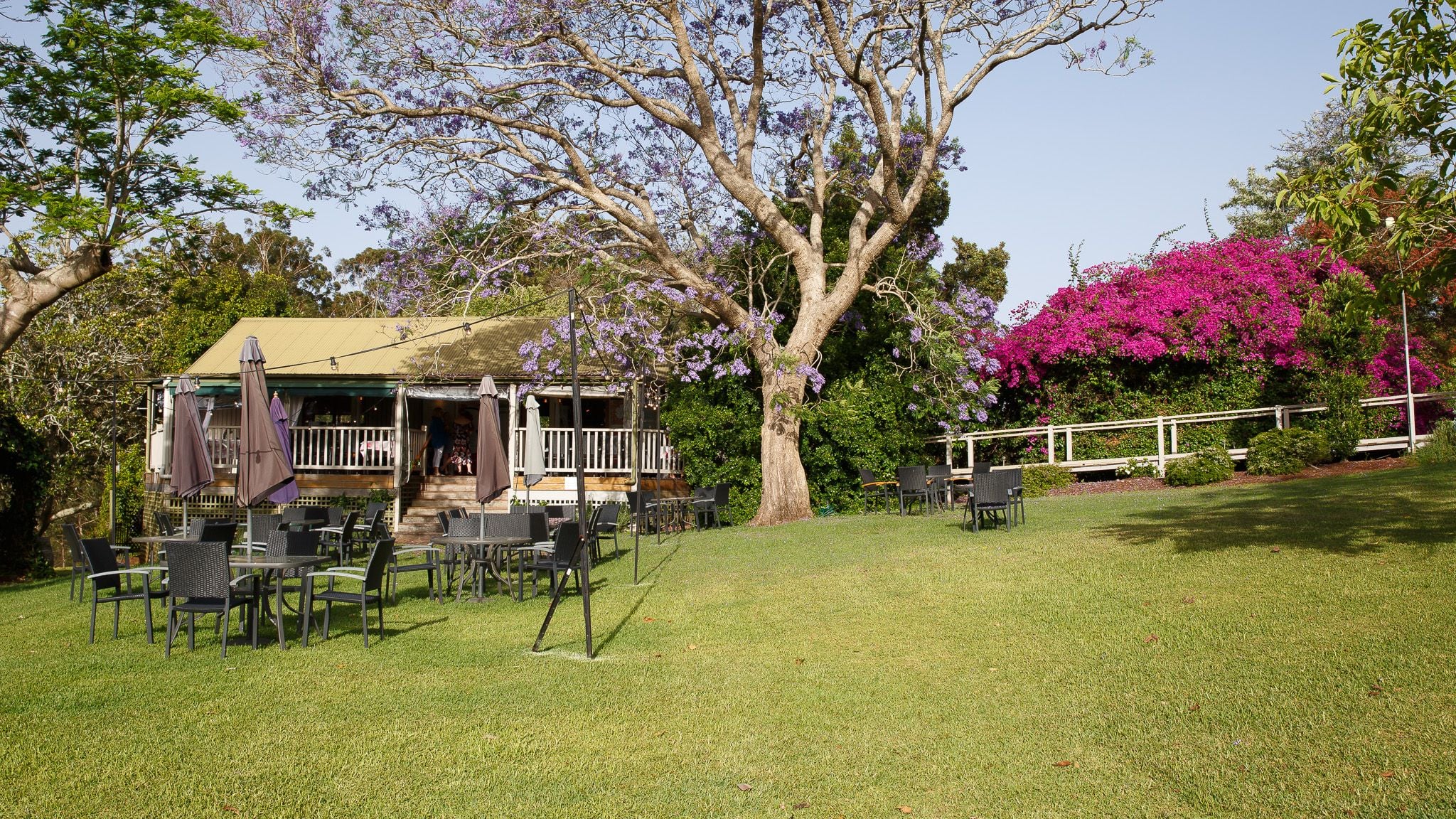 2018 It's in the bag Image -5bfb860be31ff