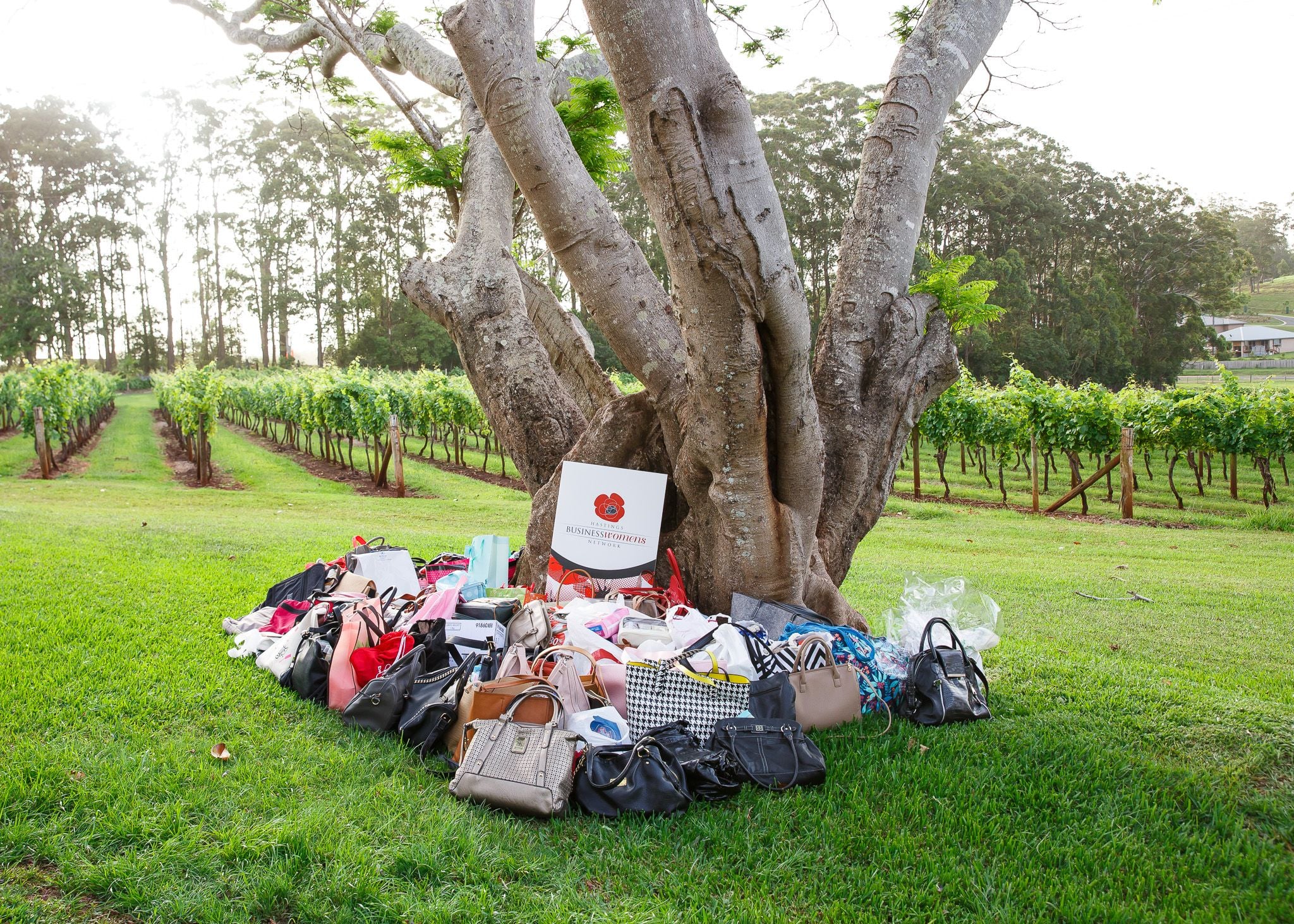 2018 It's in the bag Image -5bfb86287b232