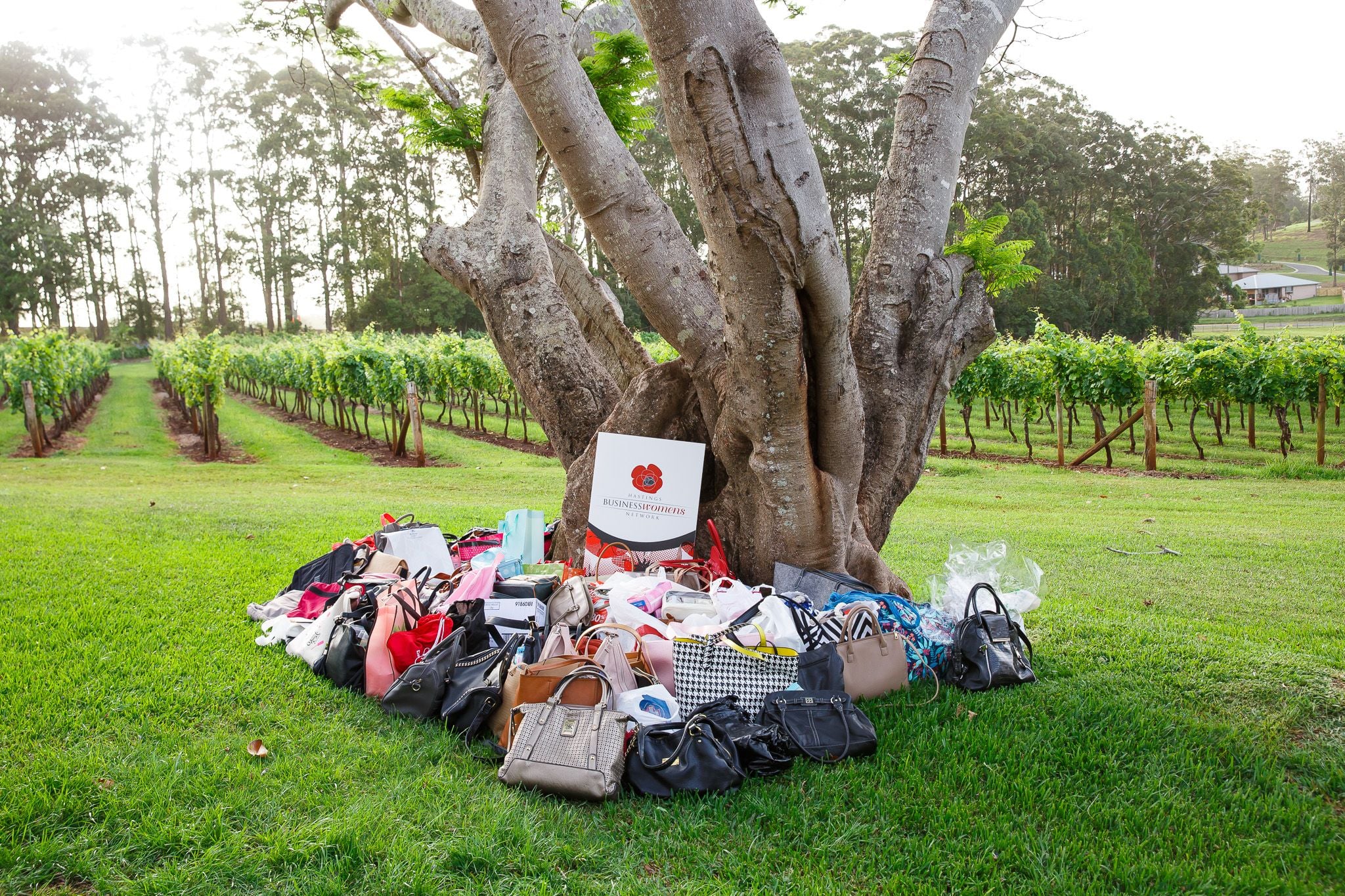 2018 It's in the bag Image -5bfb8629843bb