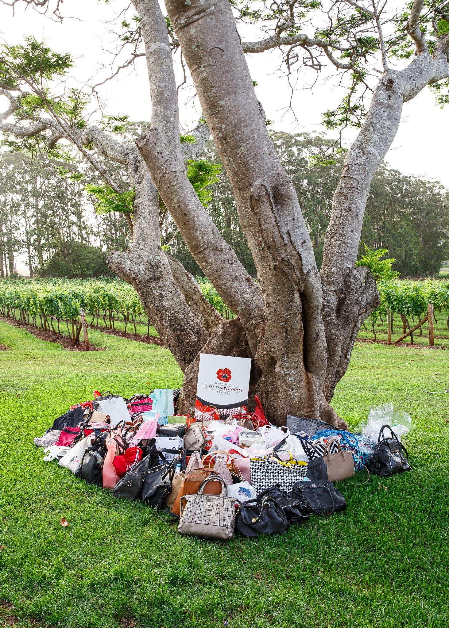 2018 It's in the bag Image -5bfb862aa9aef