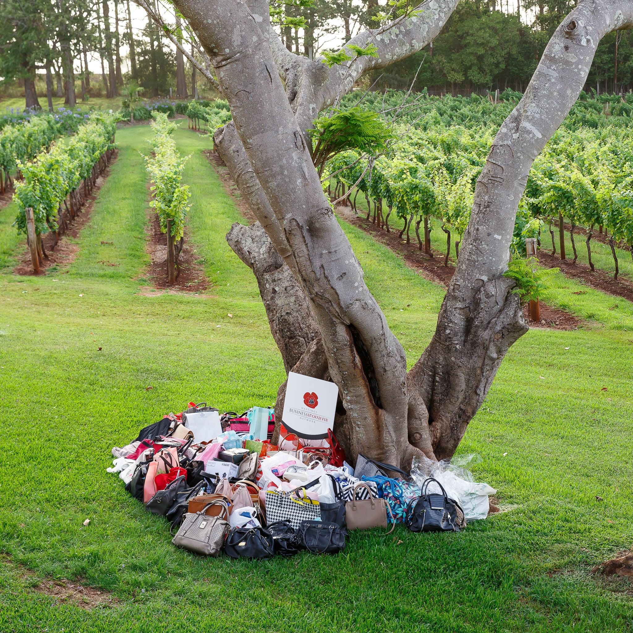 2018 It's in the bag Image -5bfb86300290d