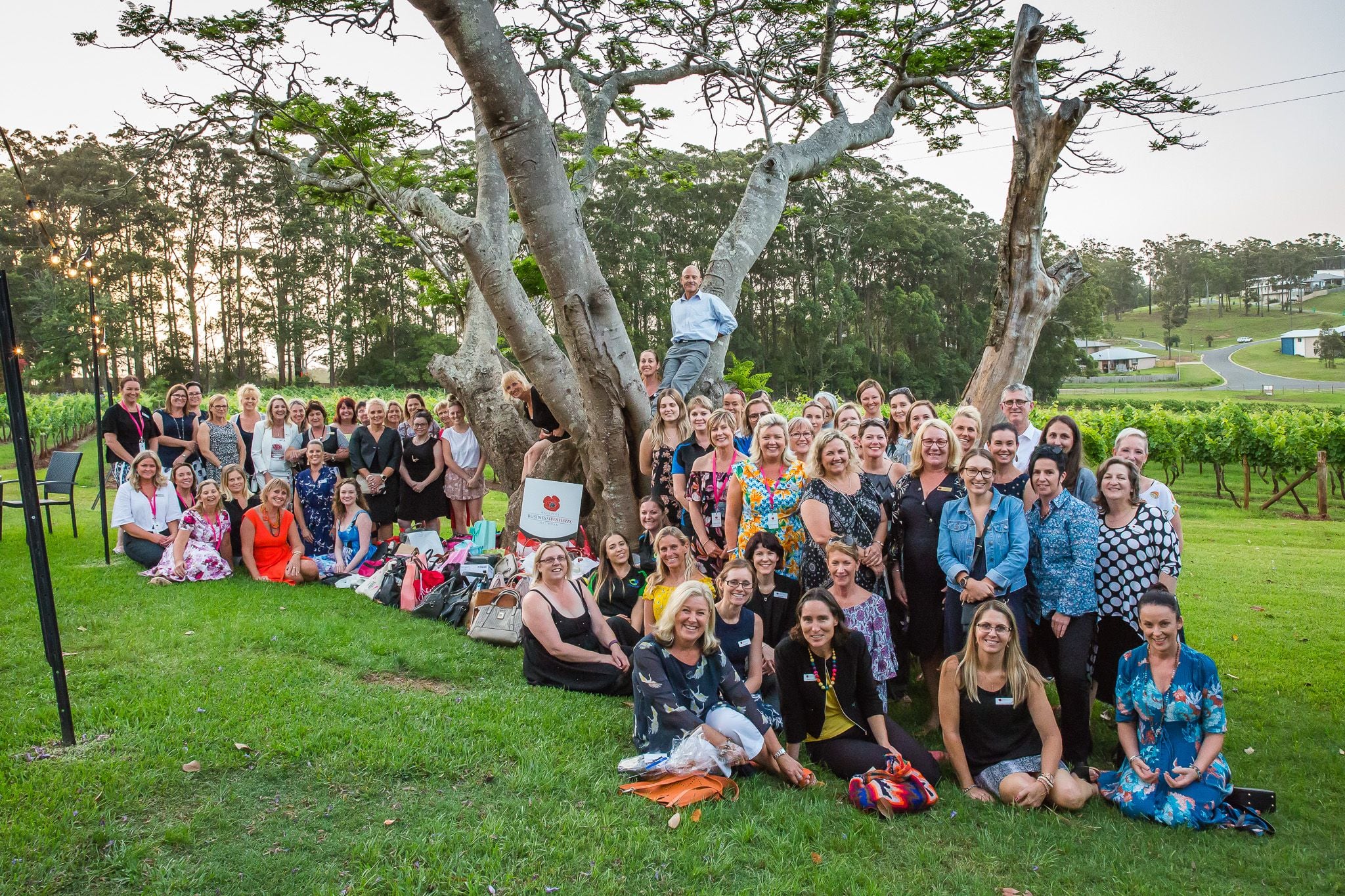 2018 It's in the bag Image -5bfb8651d0ec9