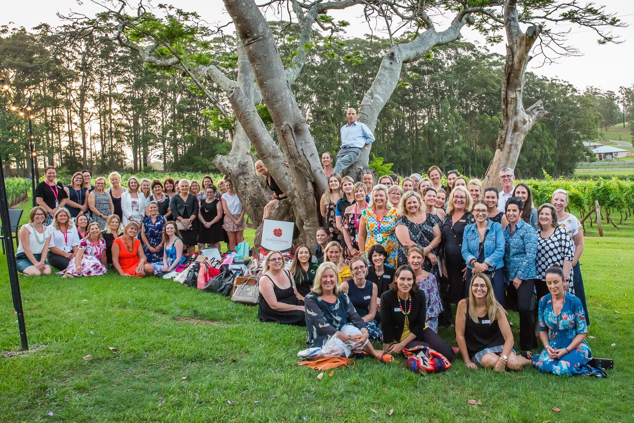 2018 It's in the bag Image -5bfb865302a5f