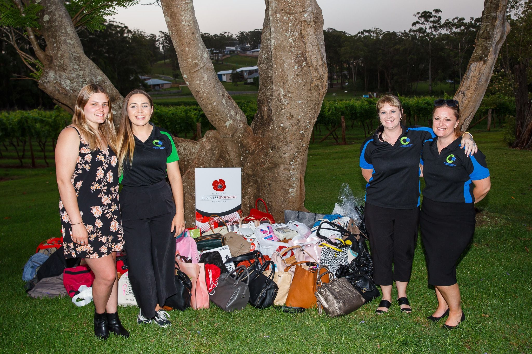 2018 It's in the bag Image -5bfb8654d744d