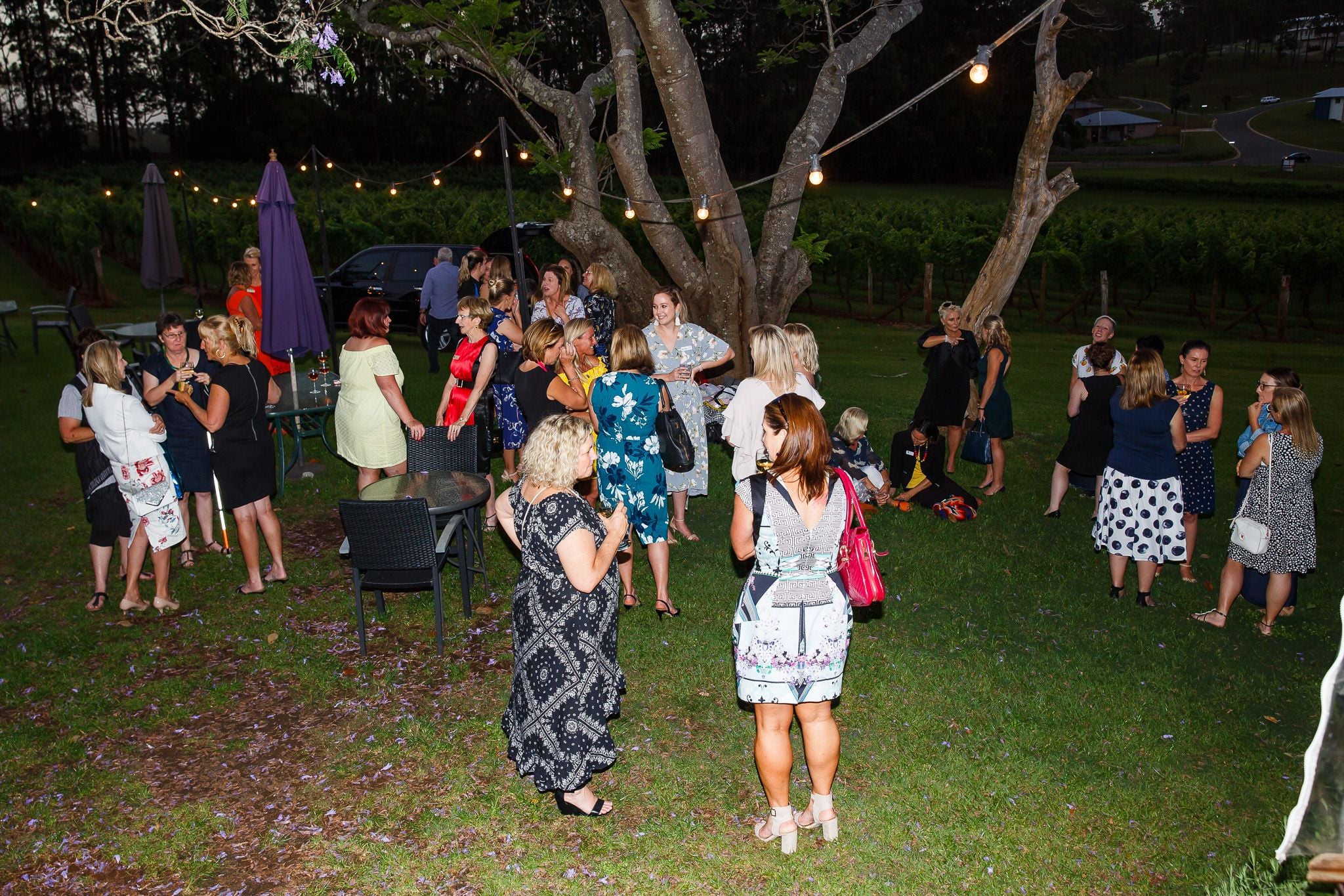 2018 It's in the bag Image -5bfb865b6bd72