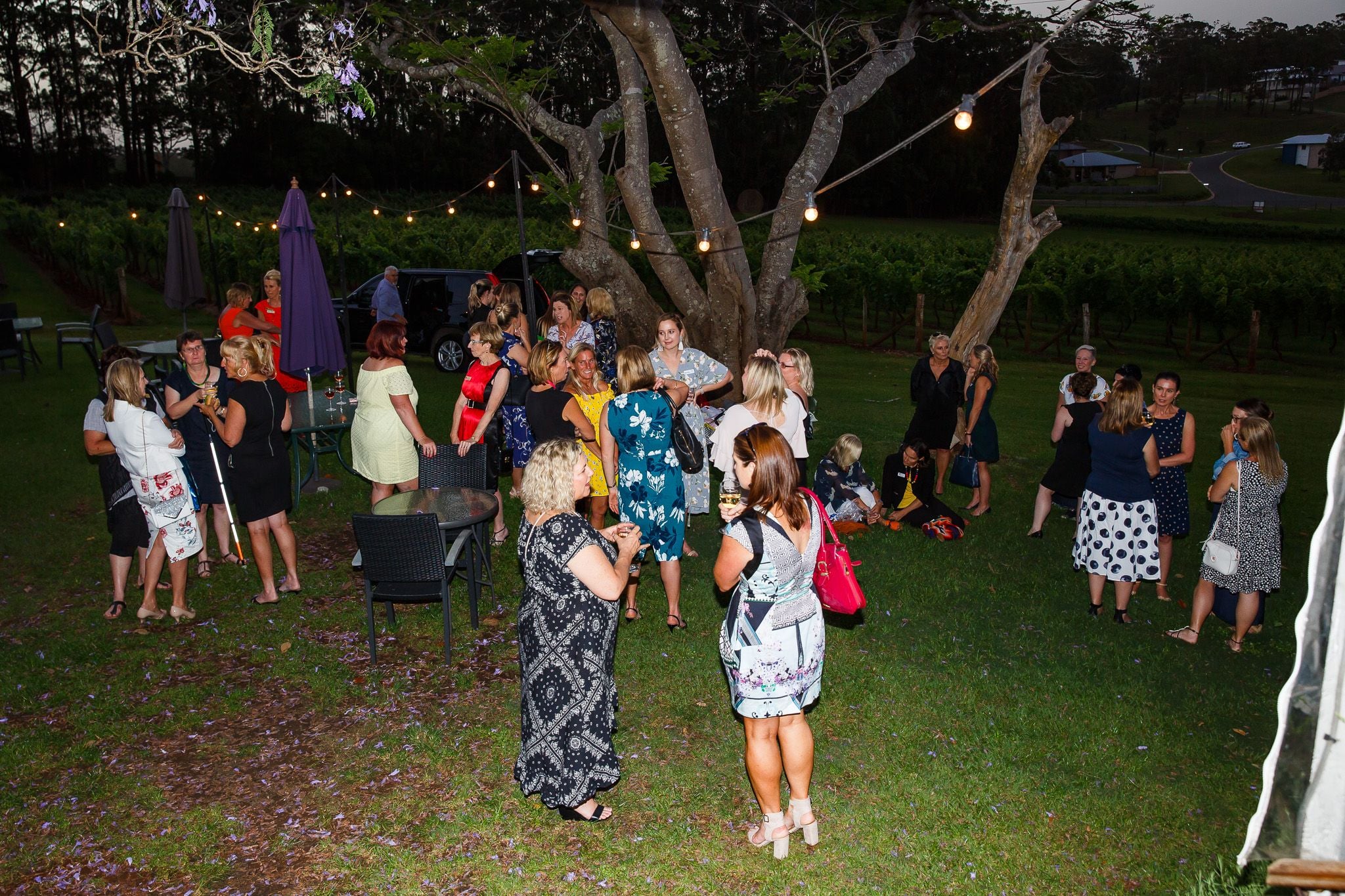 2018 It's in the bag Image -5bfb865c4e794