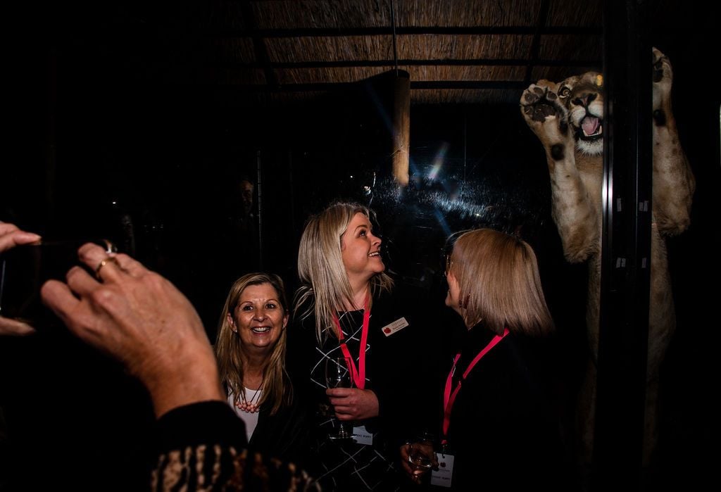 2019 Billabong Zoo Calendar Launch June - Nov 2019 Image -5d107daba9424