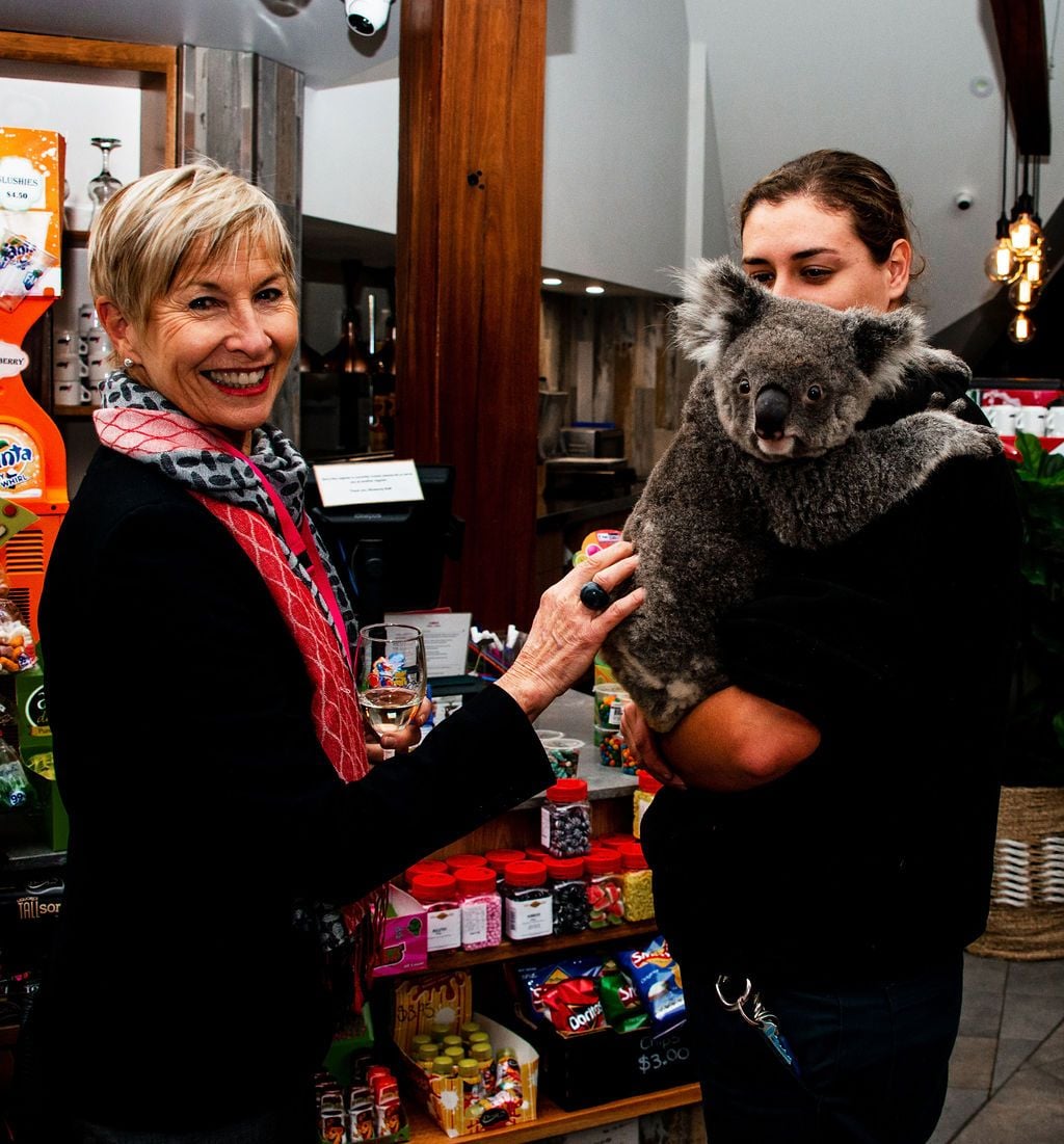 2019 Billabong Zoo Calendar Launch June - Nov 2019 Image -5d107dacf4166