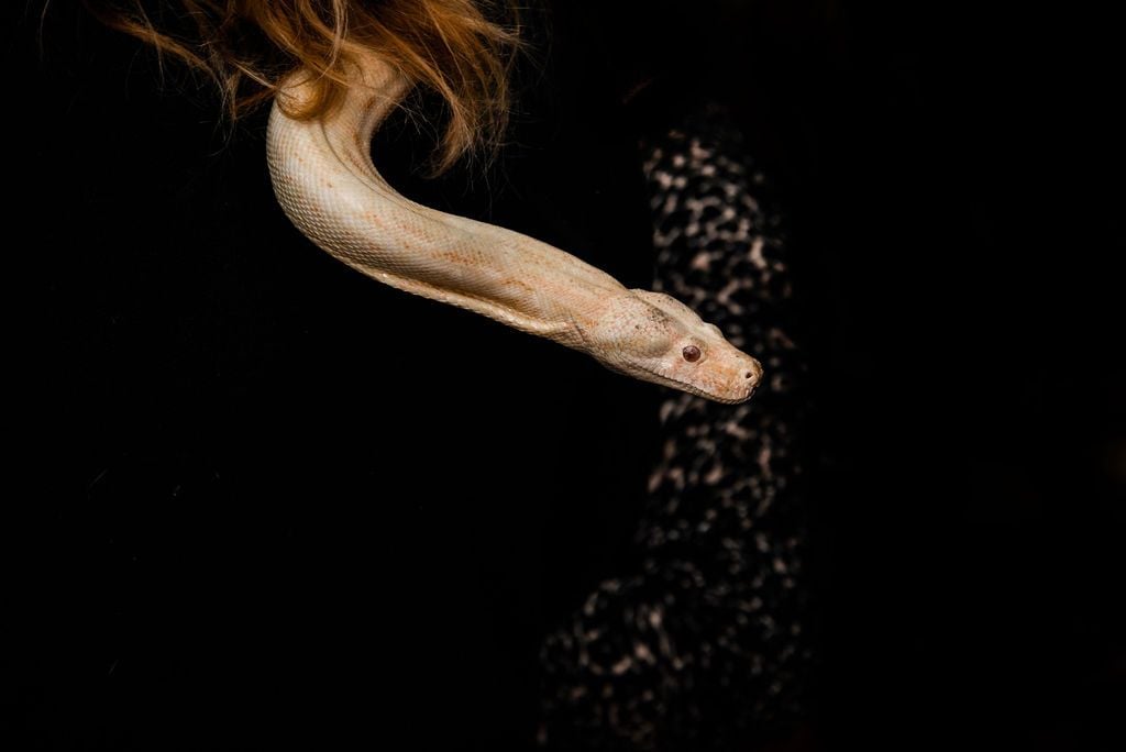 2019 Billabong Zoo Calendar Launch June - Nov 2019 Image -5d107daf9609e