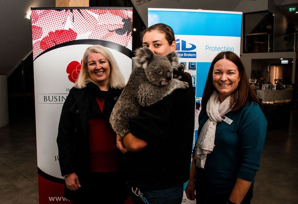 2019 Billabong Zoo Calendar Launch June - Nov 2019 Image -5d107db1d7f3b