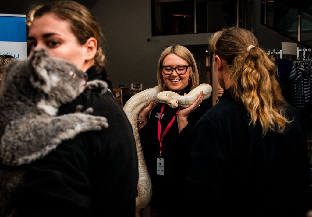 2019 Billabong Zoo Calendar Launch June - Nov 2019 Image -5d107db696964