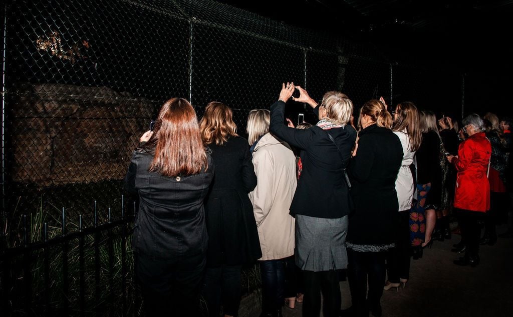 2019 Billabong Zoo Calendar Launch June - Nov 2019 Image -5d107dc104d13