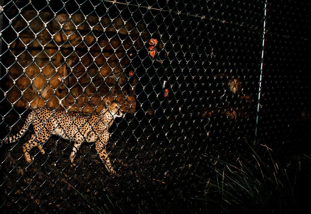 2019 Billabong Zoo Calendar Launch June - Nov 2019 Image -5d107dc183b70