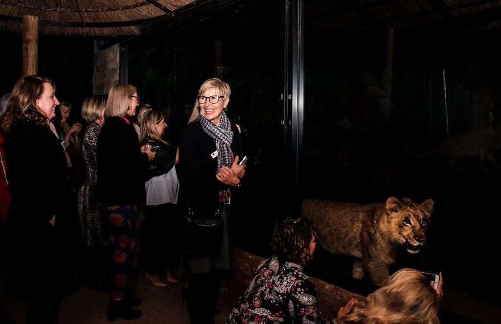 2019 Billabong Zoo Calendar Launch June - Nov 2019 Image -5d107dc3e7ee3