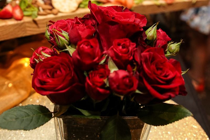 20th Birthday Celebration Image -5dd9040f6cdb4