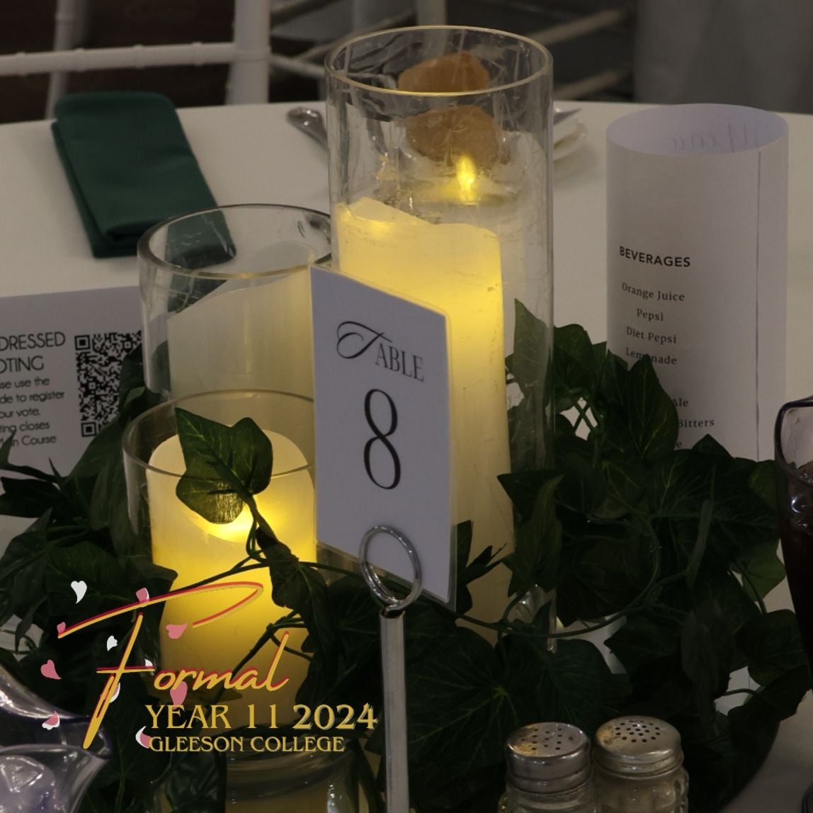 2024 Year 11 Formal Image -66a3076ae7e33