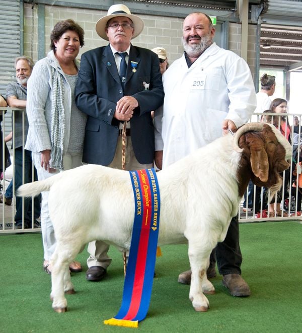 Pacifica Boer Goats Image -5513611be184c