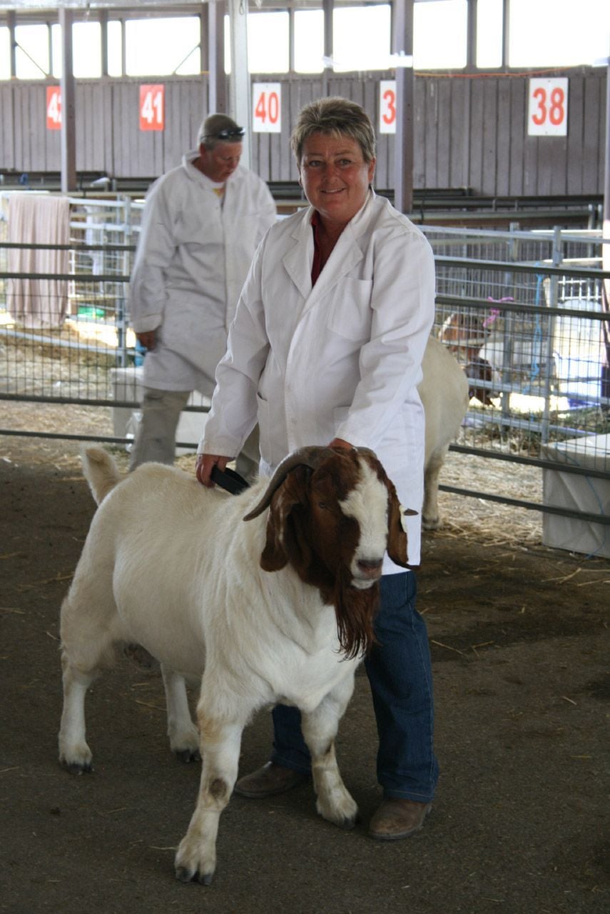Pacifica Boer Goats Image -551cd4949ab2d