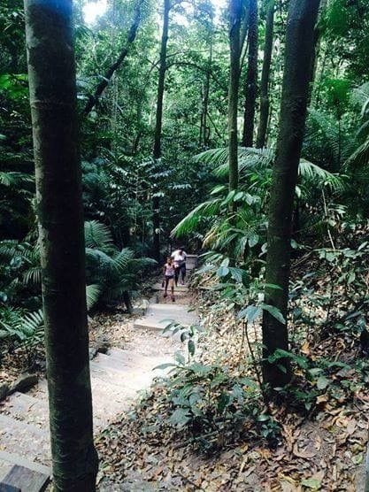 What to do and see in Cairns