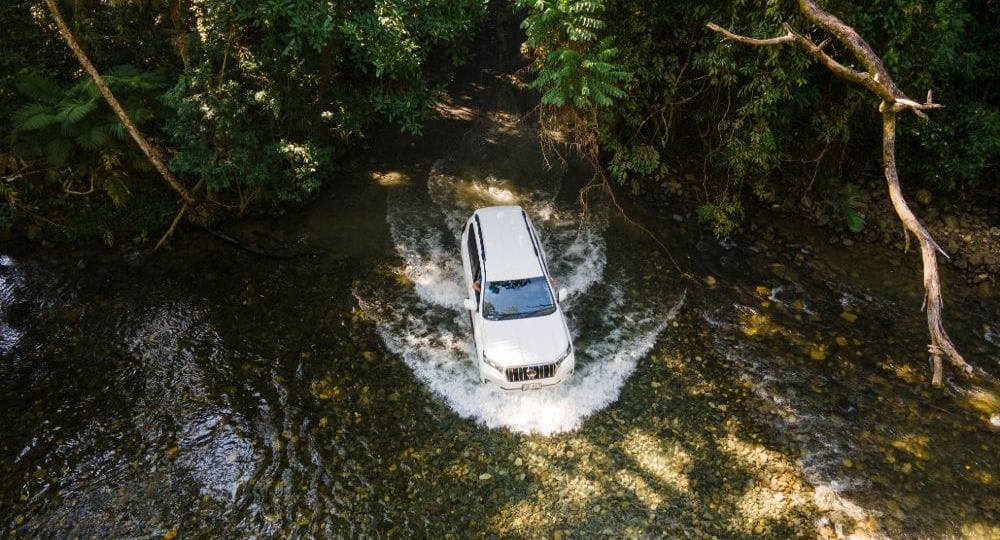 4wd rental for daintree forest exploration