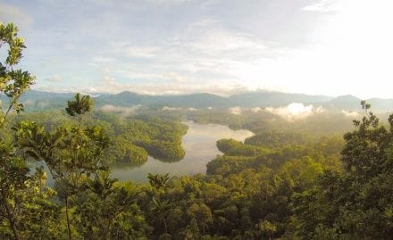 4wd rental in daintree