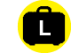 large luggage
