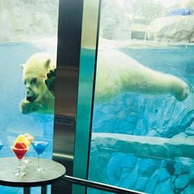 FATHER OF SEA WORLD DIES