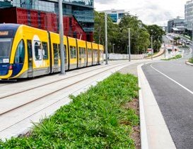 JUST WHEN WILL THE GOLD COAST GROW UP?