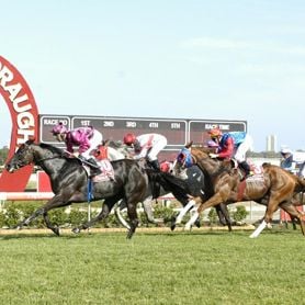 MAGIC MILLIONS DAY TWO SELLING STRONGER